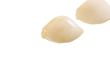 Cranial calvaria - PEI-Ultem