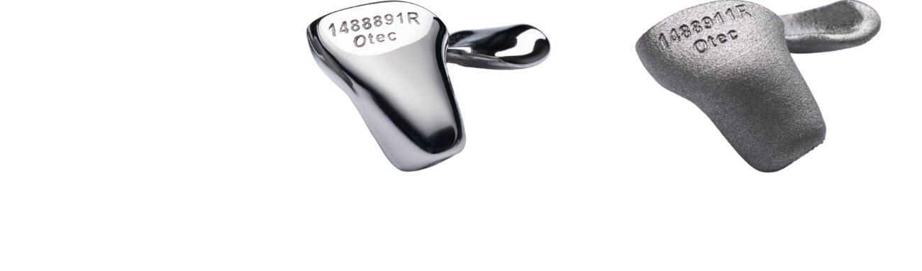 Ear molds - Titanium